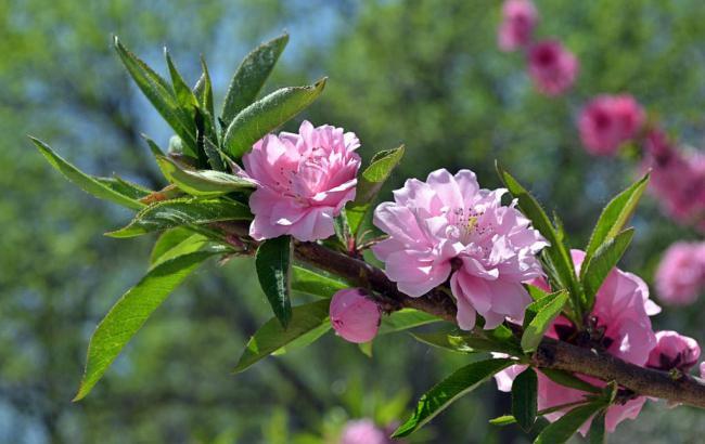 塘沽河滨公园元宵节_塘沽河滨公园元宵节开放吗