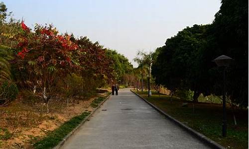 广州龙头山森林公园要门票吗_广州龙头山森林公园要门票吗现在