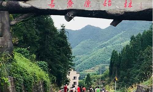 丽水松阳箬寮原始林区旅游攻略_丽水松阳箬寮原始林景区