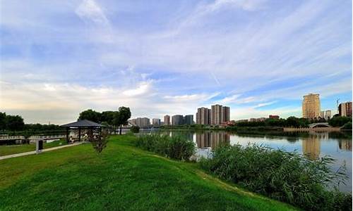 太原汾河公园海鸥_太原汾河公园海鸥在哪