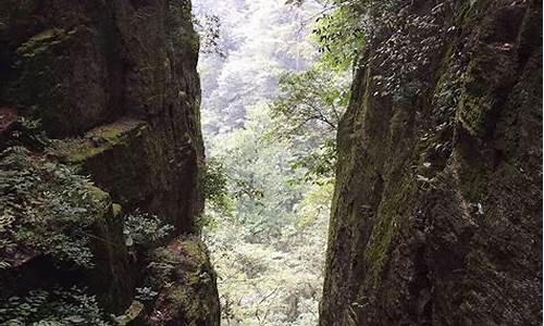 天目山避暑攻略_天目山旅游攻略两日游路线推荐