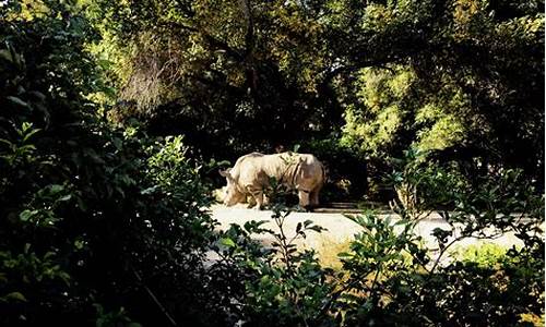 动植物公园建设_动植物公园简介