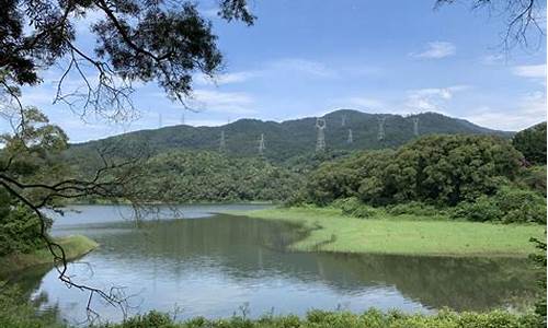 厦门天竺山森林公园要预约吗_厦门天竺山森林公园要预约吗现在