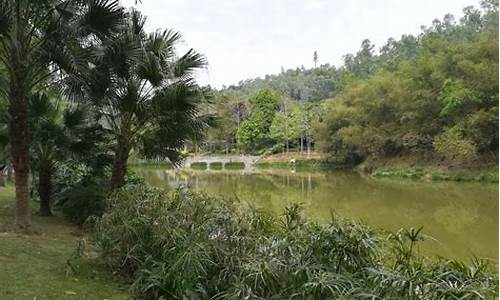 龙岗龙城公园在哪_龙岗龙城公园在哪里