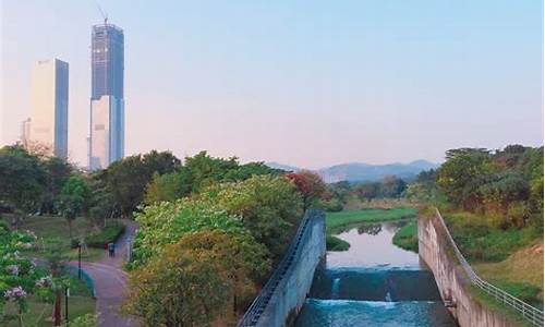 福田中心公园野餐_福田中心公园野餐地点